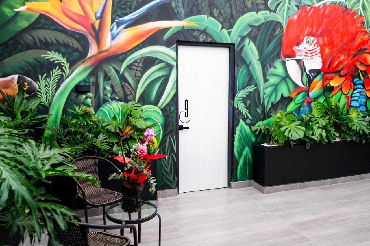 Hotel Casa Luna 쿠쿠타 외부 사진